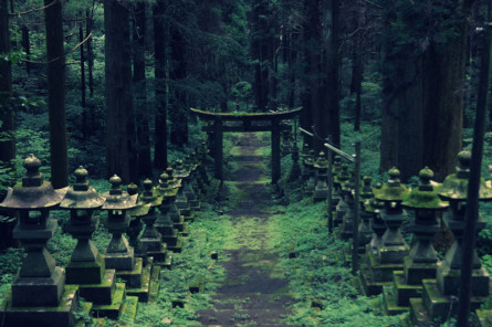 Forest Shrine in Japan