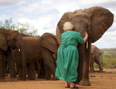elephant lady