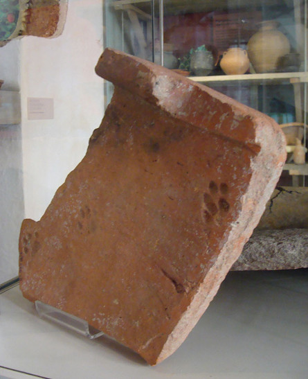 clay-paw-print-cat-roman-tile-gloucestershire