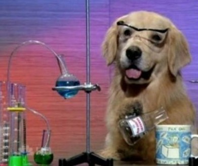 dog-scientist