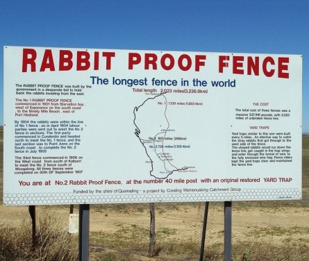 rabbit-proof-fence-26