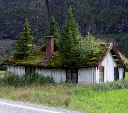 grass-roofs-norway