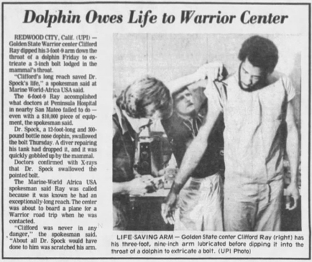 dolphin-saved-by-basketball-player
